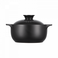 Керамическая кастрюля Xiaomi Yi Wu Yi Shi Ceramic Pot 2.5L Black