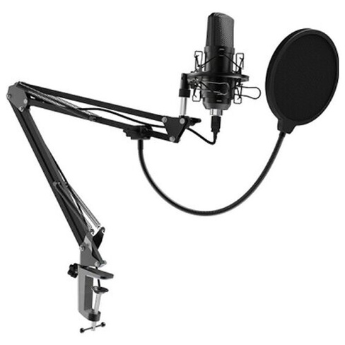 Микрофон проводной Ritmix RDM-169, разъем: USB, черный, 1 шт