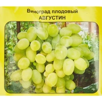 Виноград плодовый Августин h40 см Без бренда None