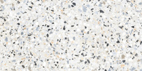 Керамогранит Alma Ceramica лаппатированный Terrazzo 570x1140x8,5 (2 шт в уп/41,6 м в пал) GFA114TRZ07L