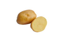 Семенной картофель "МЕТЕОР"