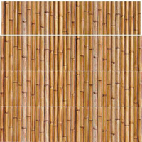 Плитка Mainzu Bamboo Brown 10x30