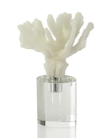 White Finger Coral on Stand