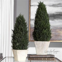 Cypress, Cone Topiaries, S/2