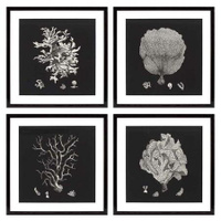 Настенный декор EICHHOLTZ Prints Black & Tan Corals set of 4