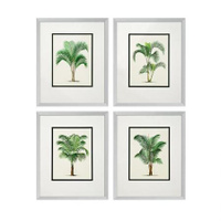 Настенный декор EICHHOLTZ Prints Palms set of 4