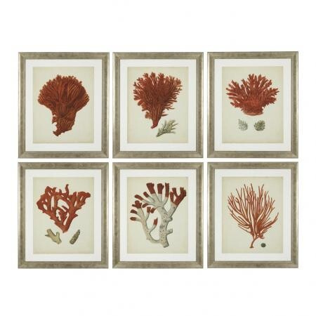 Настенный декор EICHHOLTZ Prints Antique red corals set of 6
