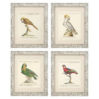 Настенный декор EICHHOLTZ Prints Dunbar I set of 4 Birds