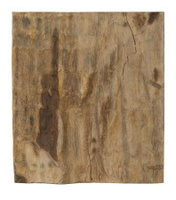 Настенный декор Phillips Collection Cast Petrified Wood Square Wall Tile