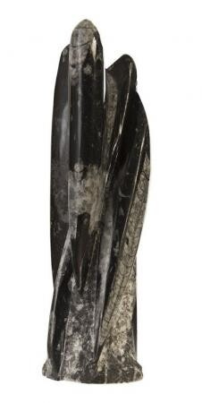 Скульптура Phillips Collection Fossilized Squid Sculpture